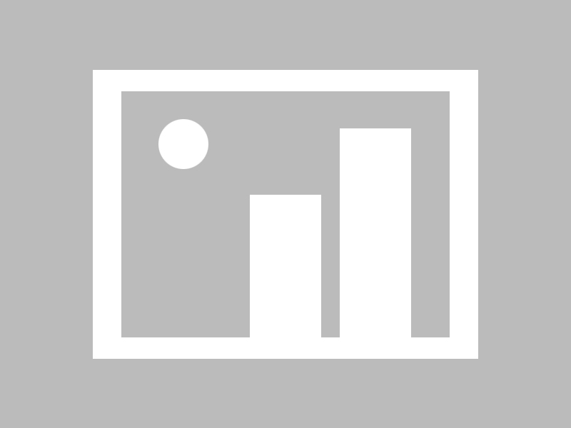 Jiu You-自由泳配速策略数据分析报告，自由泳速度记录