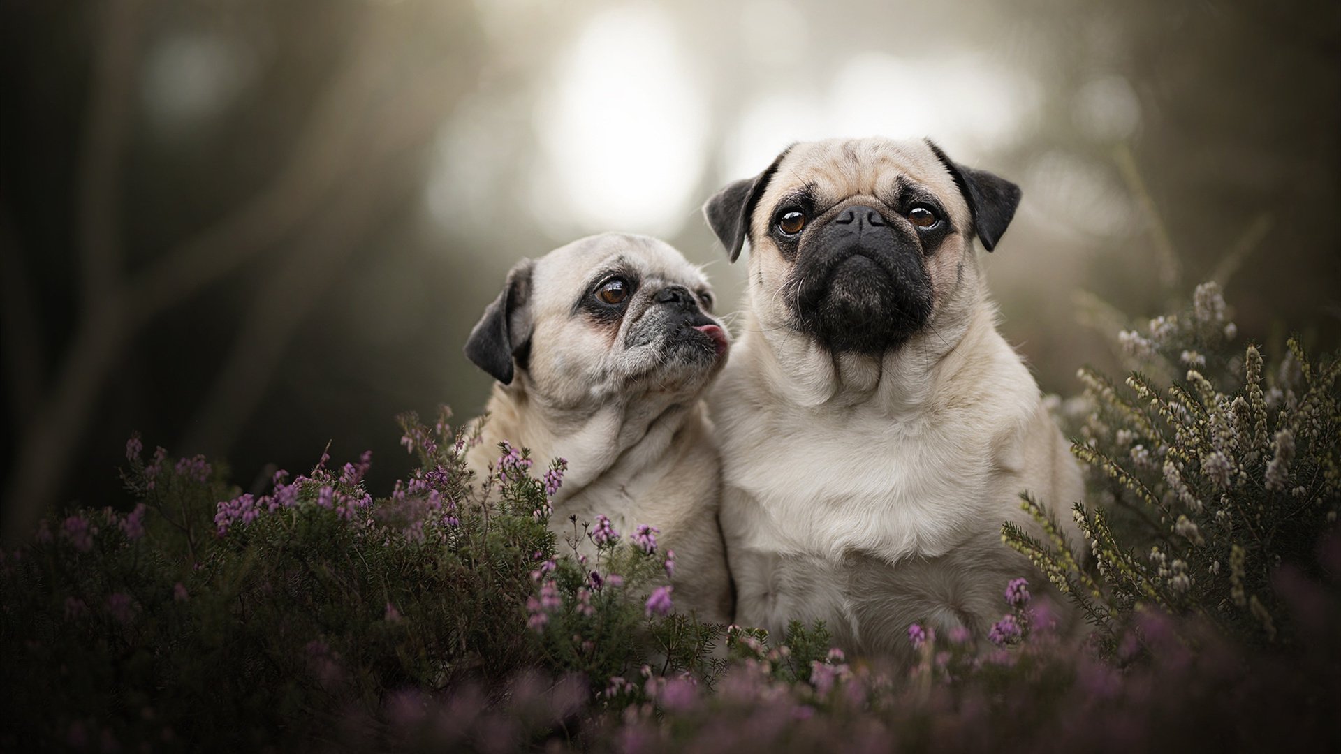 九游用户空间-_体育赛事中的绿色环保：低碳运动新风尚_，体育赛事环境污染