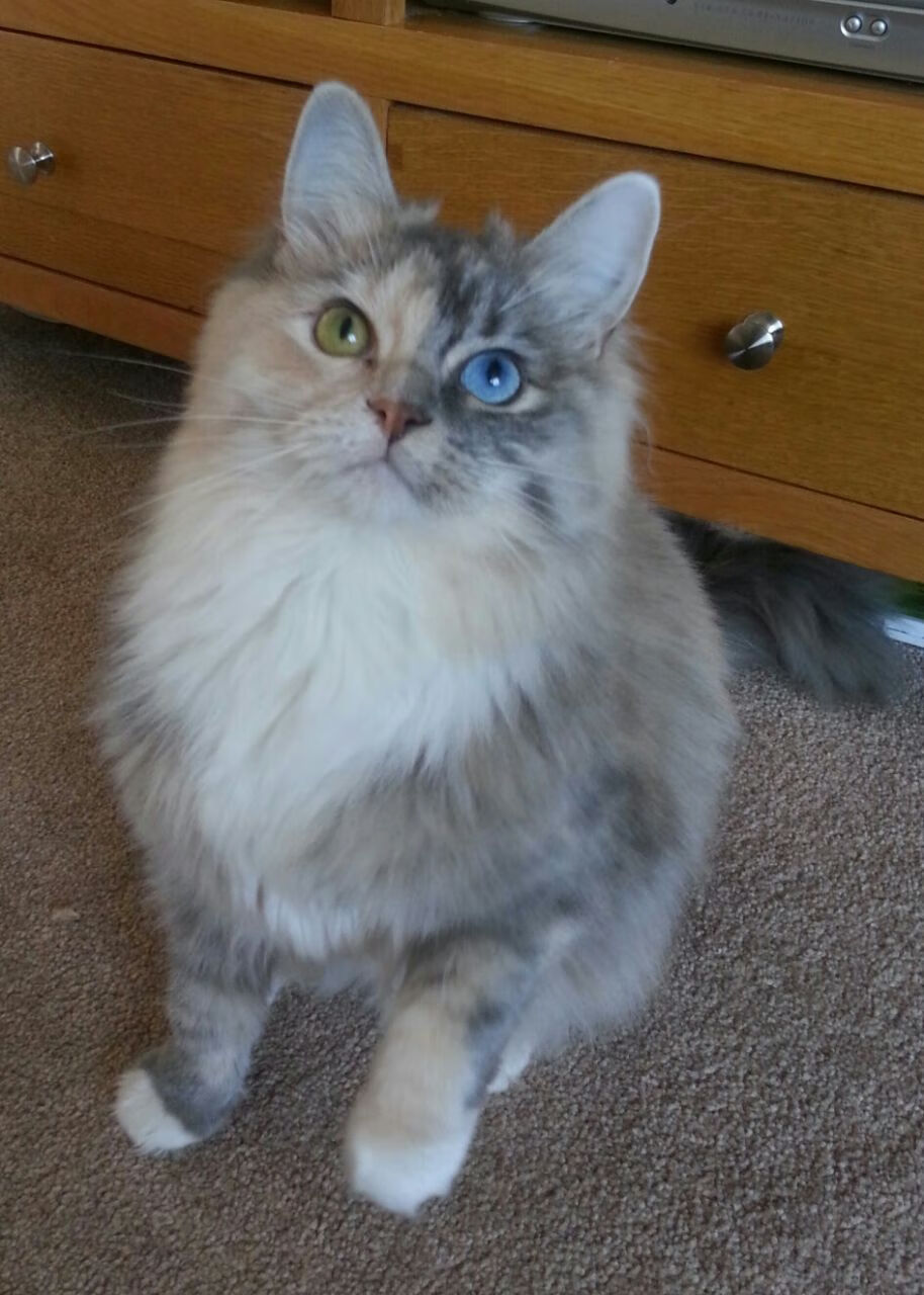 九游登录中心-_全天候极限挑战：在不同天气中比拼速度_，极限挑战天气预报美女是谁