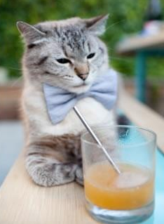 _天幕足球:空中激战点亮夜空_,天幕玩法