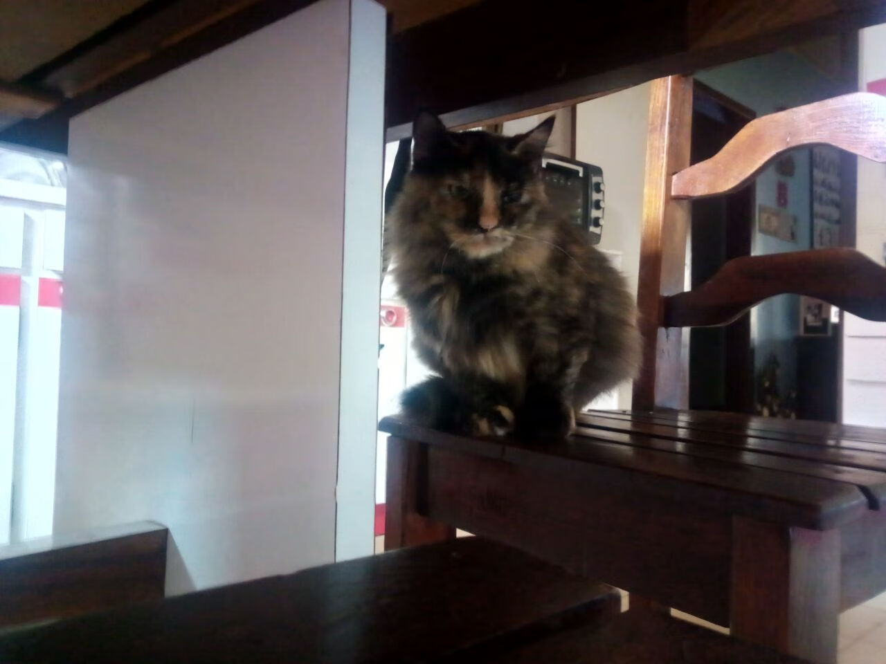 _极地冰川登山：攀越天际线的壮丽旅程_，极地冰川在哪里