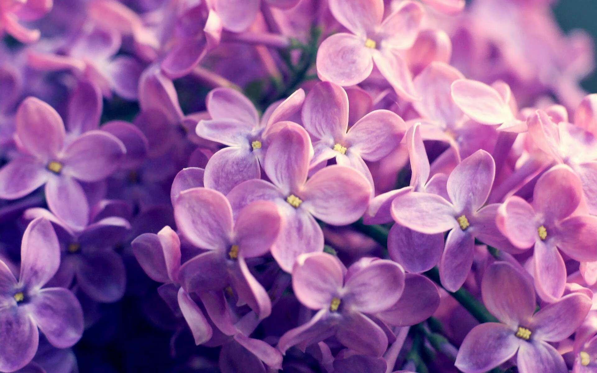 《跑跑卡丁车》职业联赛与《QQ飞车》手游联赛的速度与激情，跑跑卡丁车手游职业联赛什么时候开始
