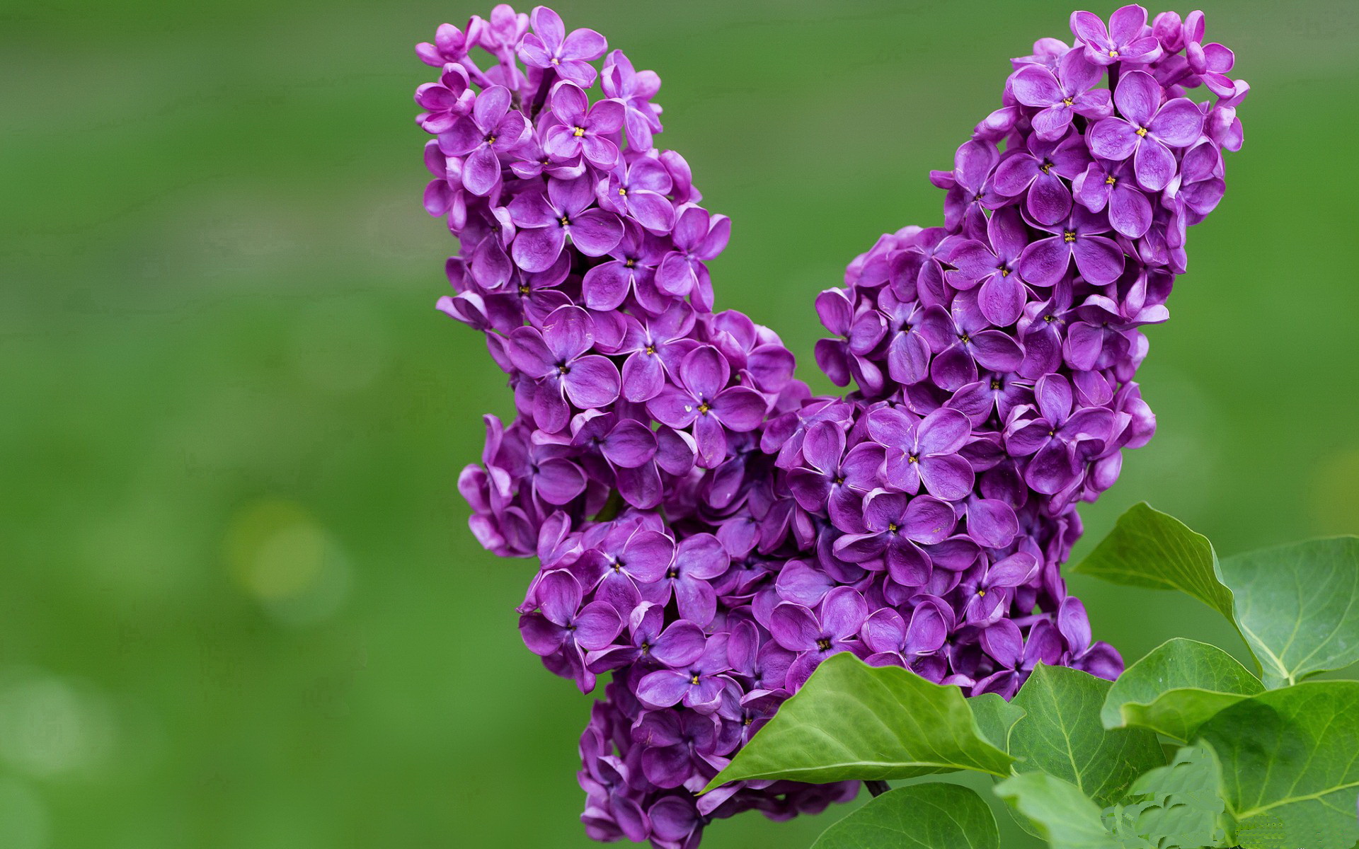 九游（jiuyou.com）游戏-史上最浓墨重彩的盖帽大战，谁的“封堵”最惊人？，盖帽是谁