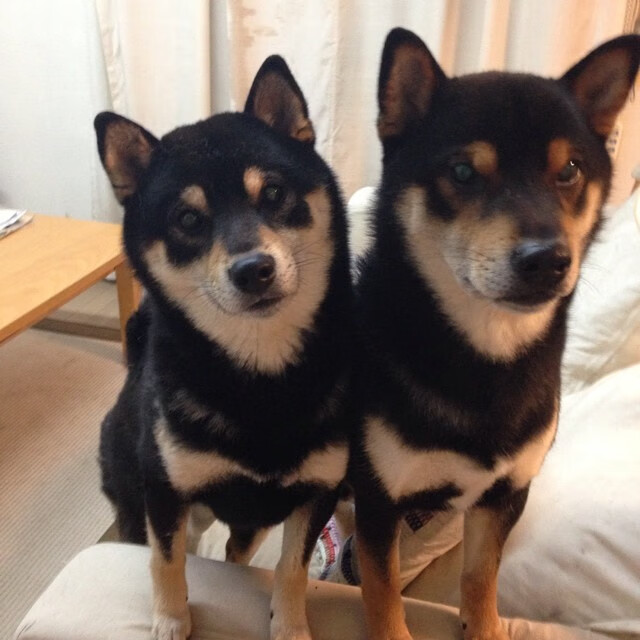 九游网游官网-史上最精彩的“关键一投”回放，你支持谁？，关键投票 下载