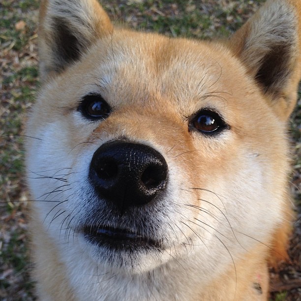 九游官网主页-篮球裁判技术水平提升培训课程启动，篮球裁判培训内容