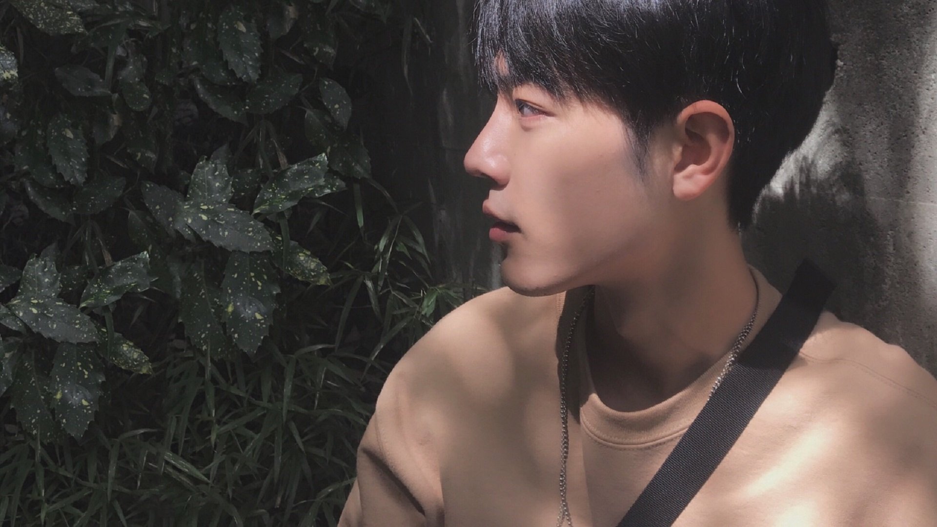 绿色环保：F1新政策推动可持续发展，绿色环保可持续发展理念