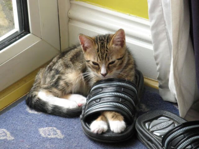 -英超背水一战，教练谈战术调整，放眼英超,谁能打爆这条防线