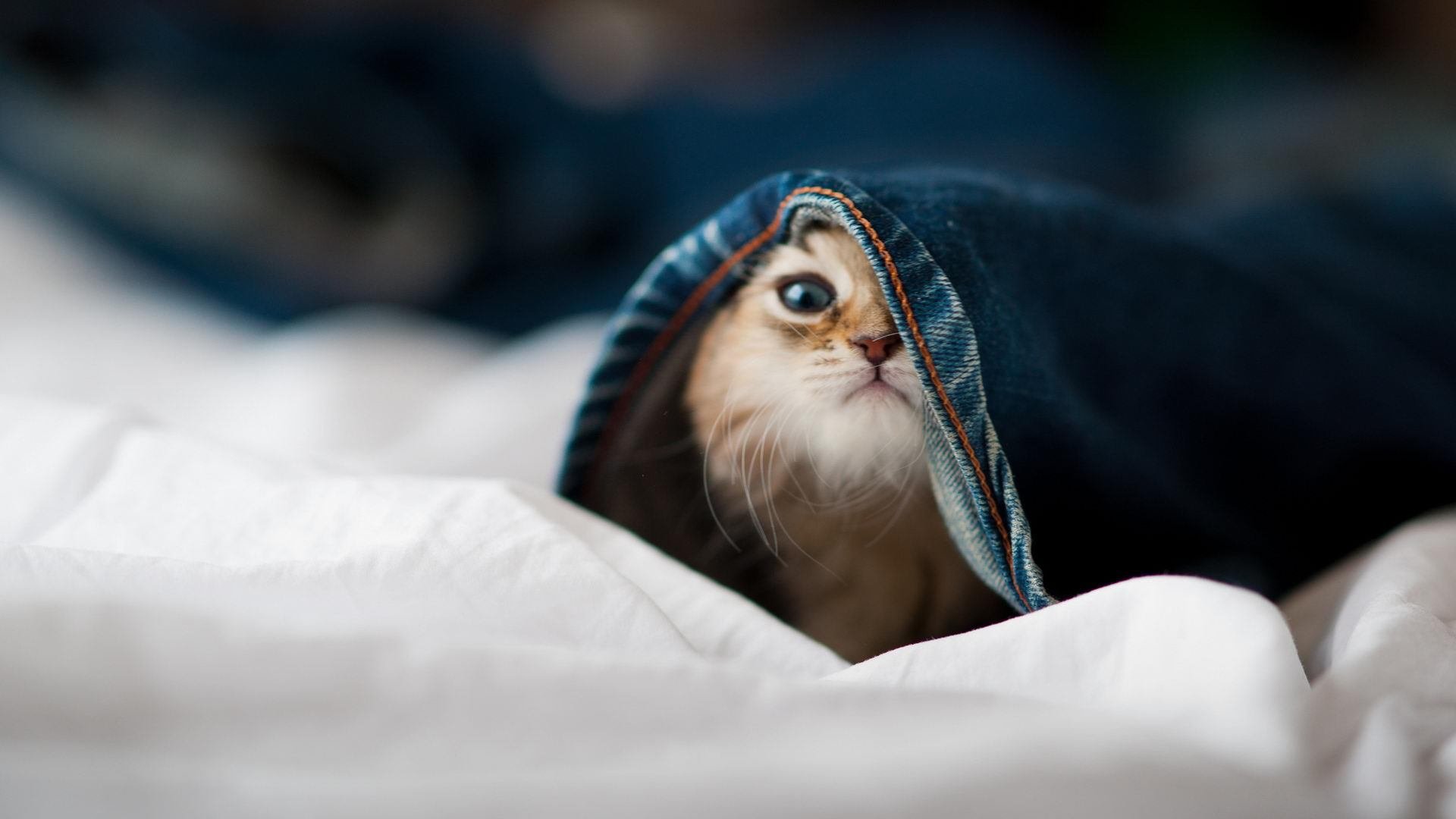 九游网页版入口-逆转瞬间：比赛最激动人心的逆转时刻，逆转什么