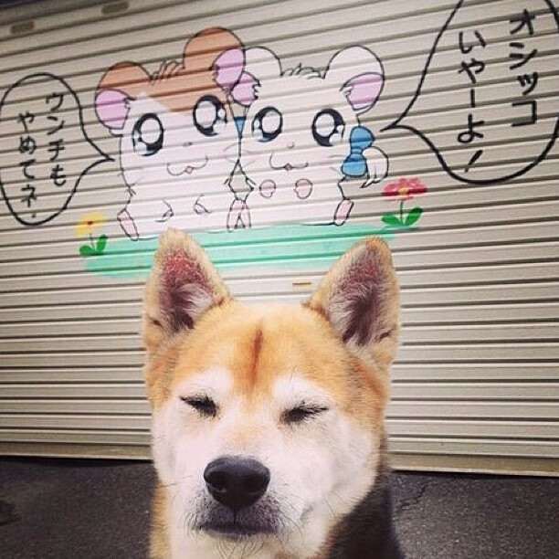 九游官网pc-塞尔维亚联赛观众支持热烈，塞尔维亚公开赛