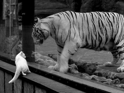 曼联-精彩逆转齐心卷土重来,锋线仍有待进一步梳理