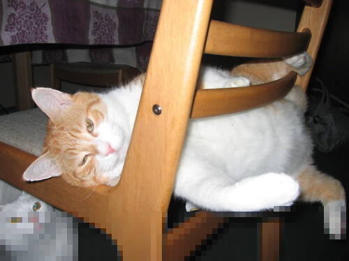 九游游戏中心官网-温州瓯海数字医院球员状态低迷，连续失利，温州瓯海中心医院