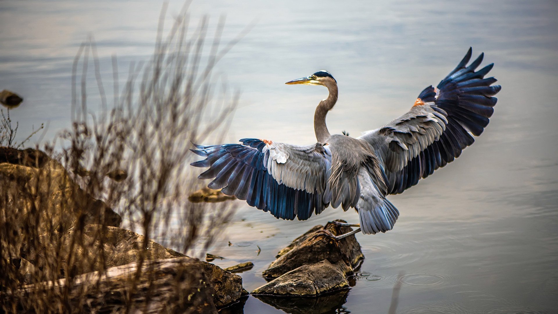温州瓯海数字医院球员状态低迷,连续失利,温州瓯海中心医院