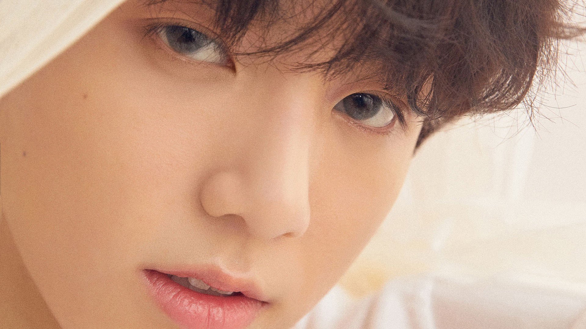 猛龙队比赛节奏掌握更精准，猛龙队战绩