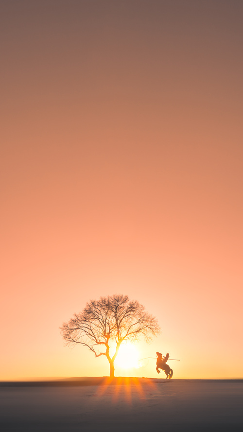 辽宁本钢球队比赛经验丰富,辽宁本钢队员简介