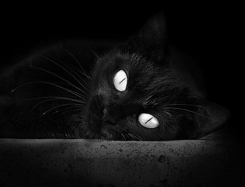 防守端表现出色的球队成功力保不败，防守型球员