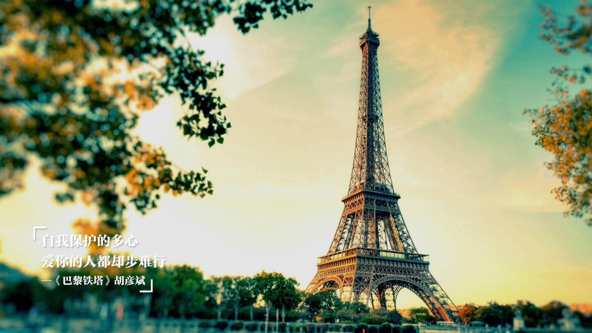 九游APP官网-青训体系与职业联赛衔接机制，职业青训队