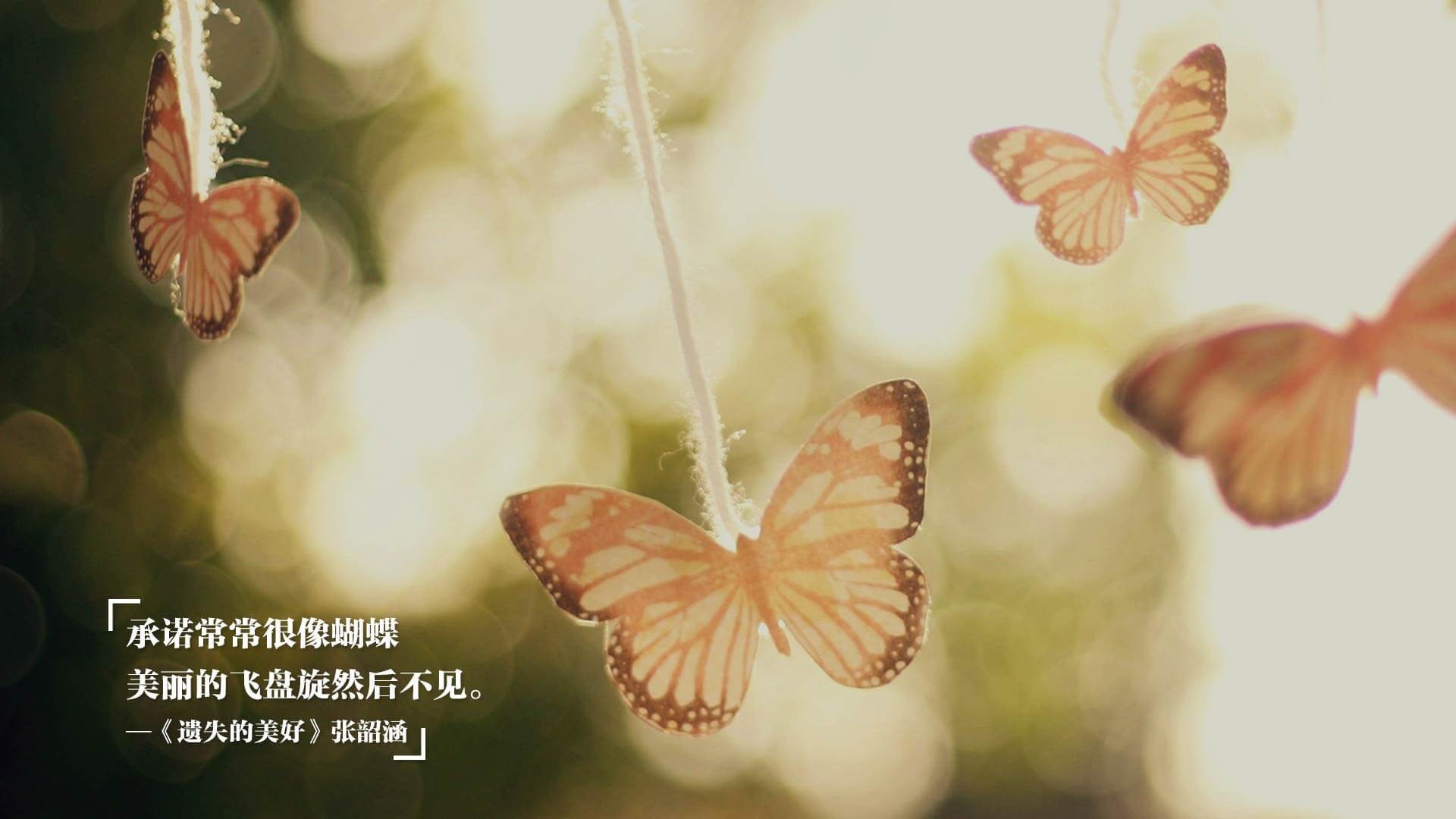 全国少年田径冠军赛新纪录不断,全国少年田径成绩公告