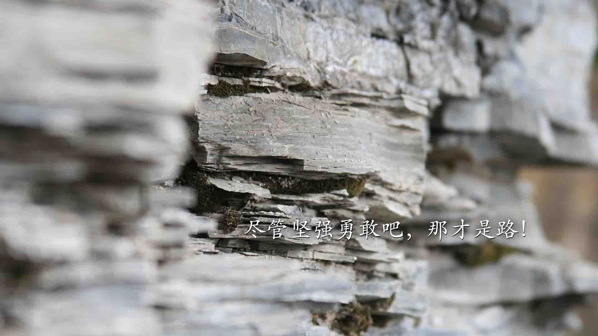 JiuyouAPP下载-中国女篮比赛节奏加快 反击速度成为亮点，中国女篮赛制