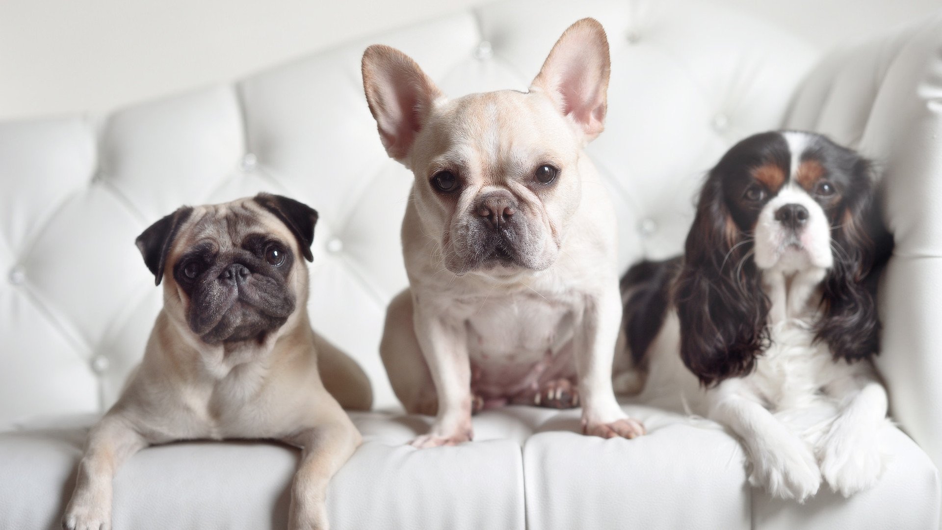 九游网游官网-中超联赛中国队晋级 球迷热情不断高涨，中超联赛2021参赛球队