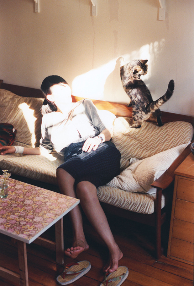 女子短距离自由泳突破新高，短距离自由泳速度提升