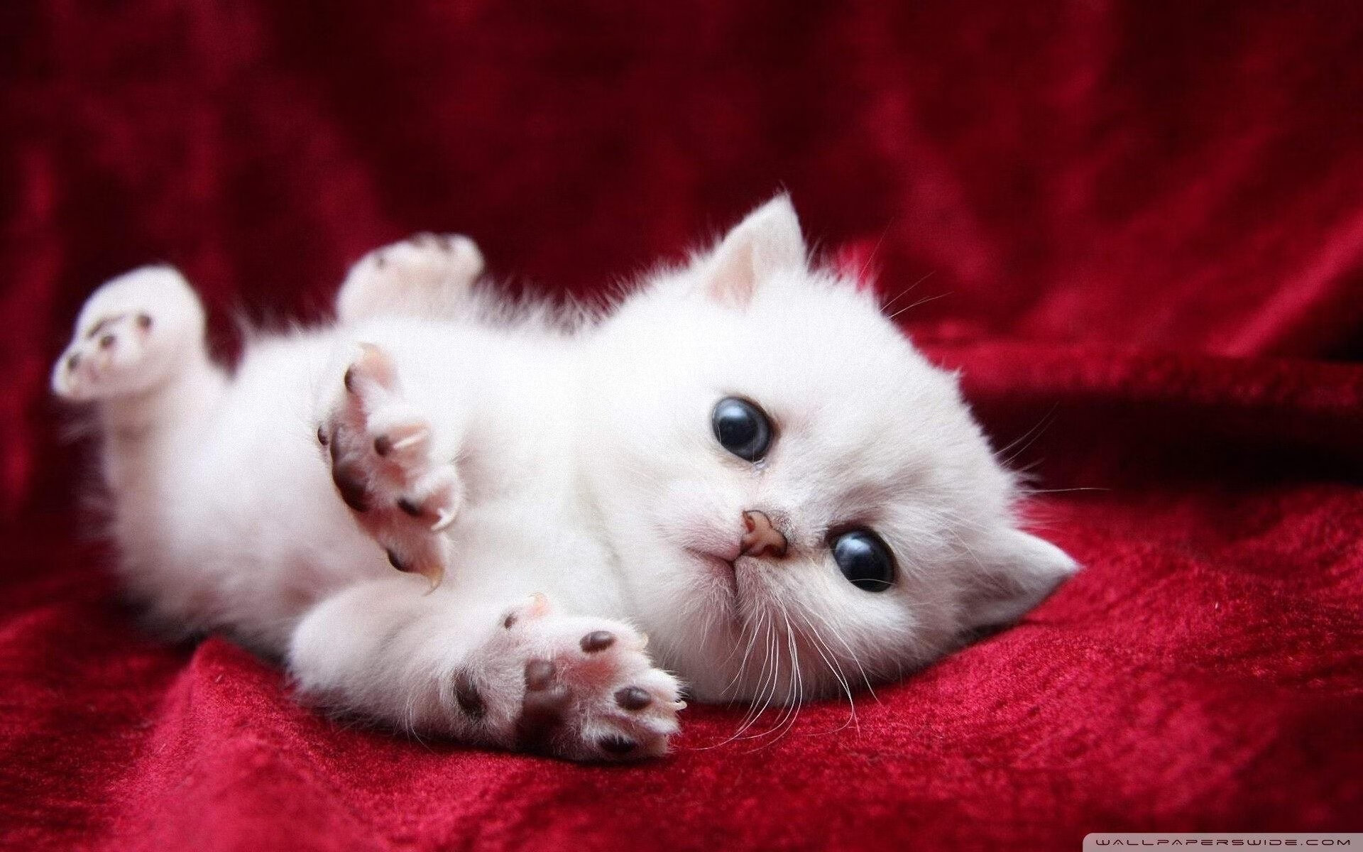 九游APP官网-攻守平衡或进攻爆发哪种策略更适合赛季冲刺，攻守平衡的中场