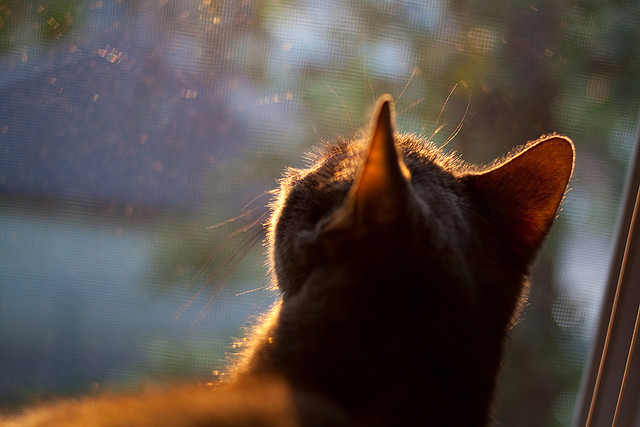 凯尔·查默斯赛后分享备赛心得，查尔斯凯萁怎么样