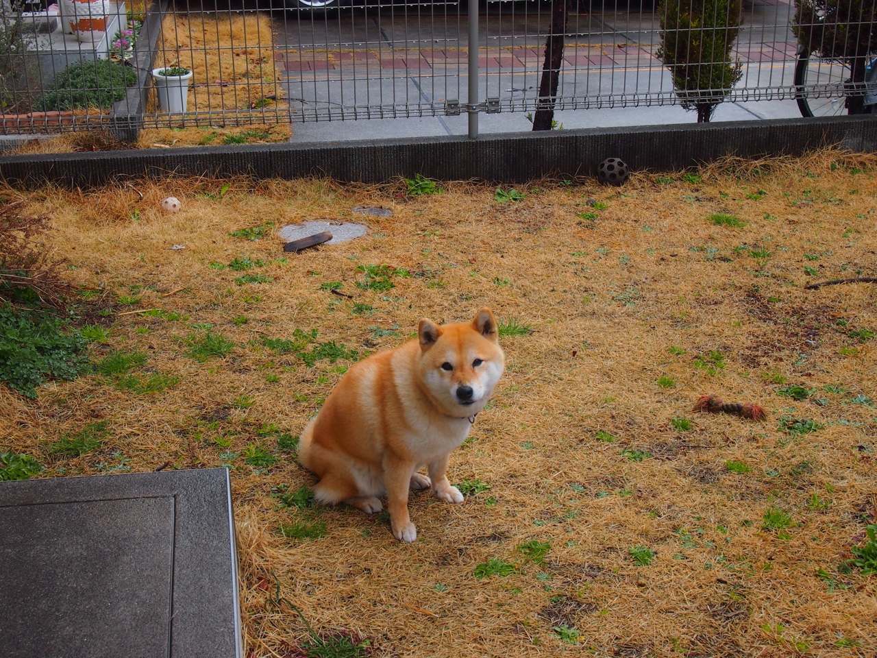 巴基斯坦女篮在国际友谊赛中奋勇拼搏，未来可期