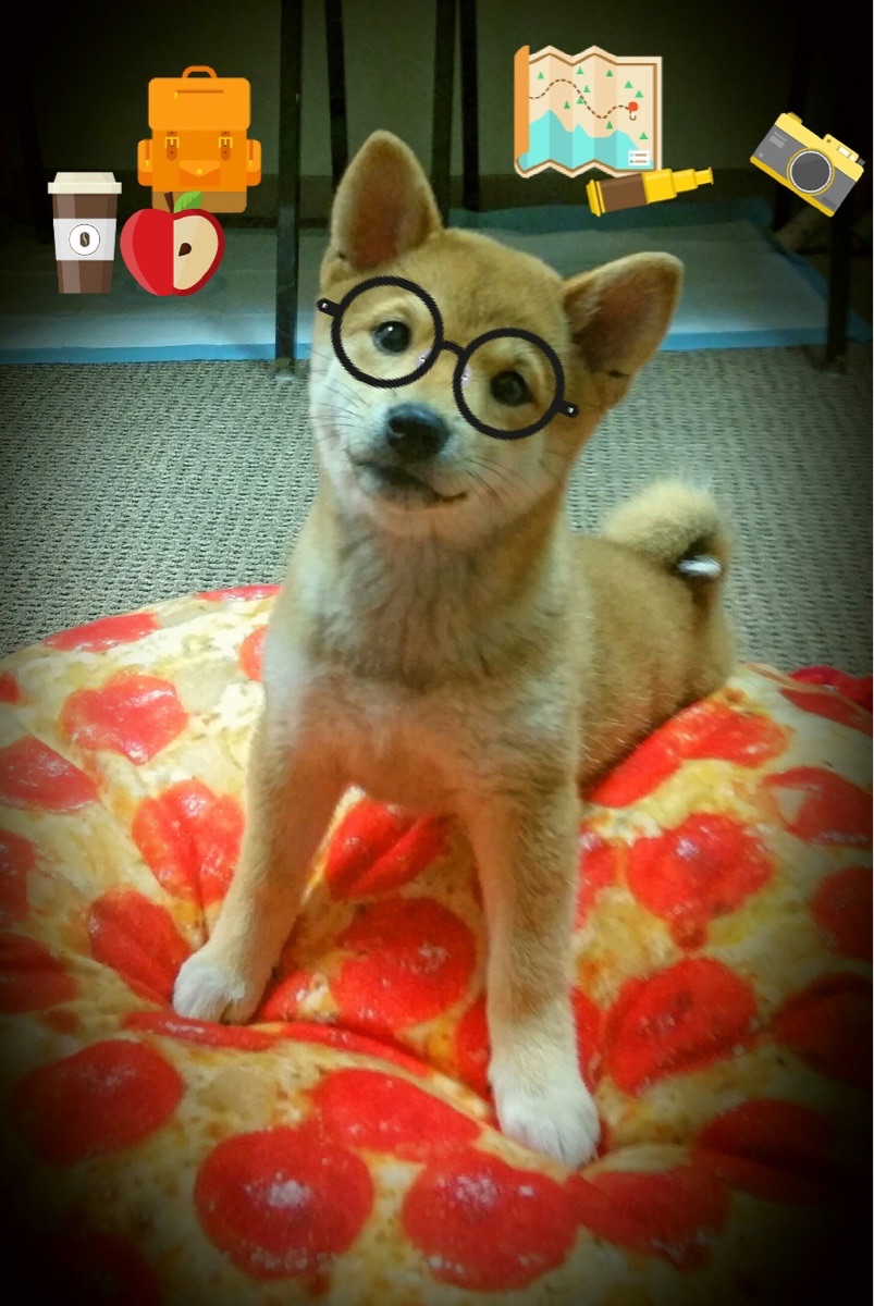 九游正版入口-斯洛伐克女篮在欧洲锦标赛中表现出色，迈向奖牌