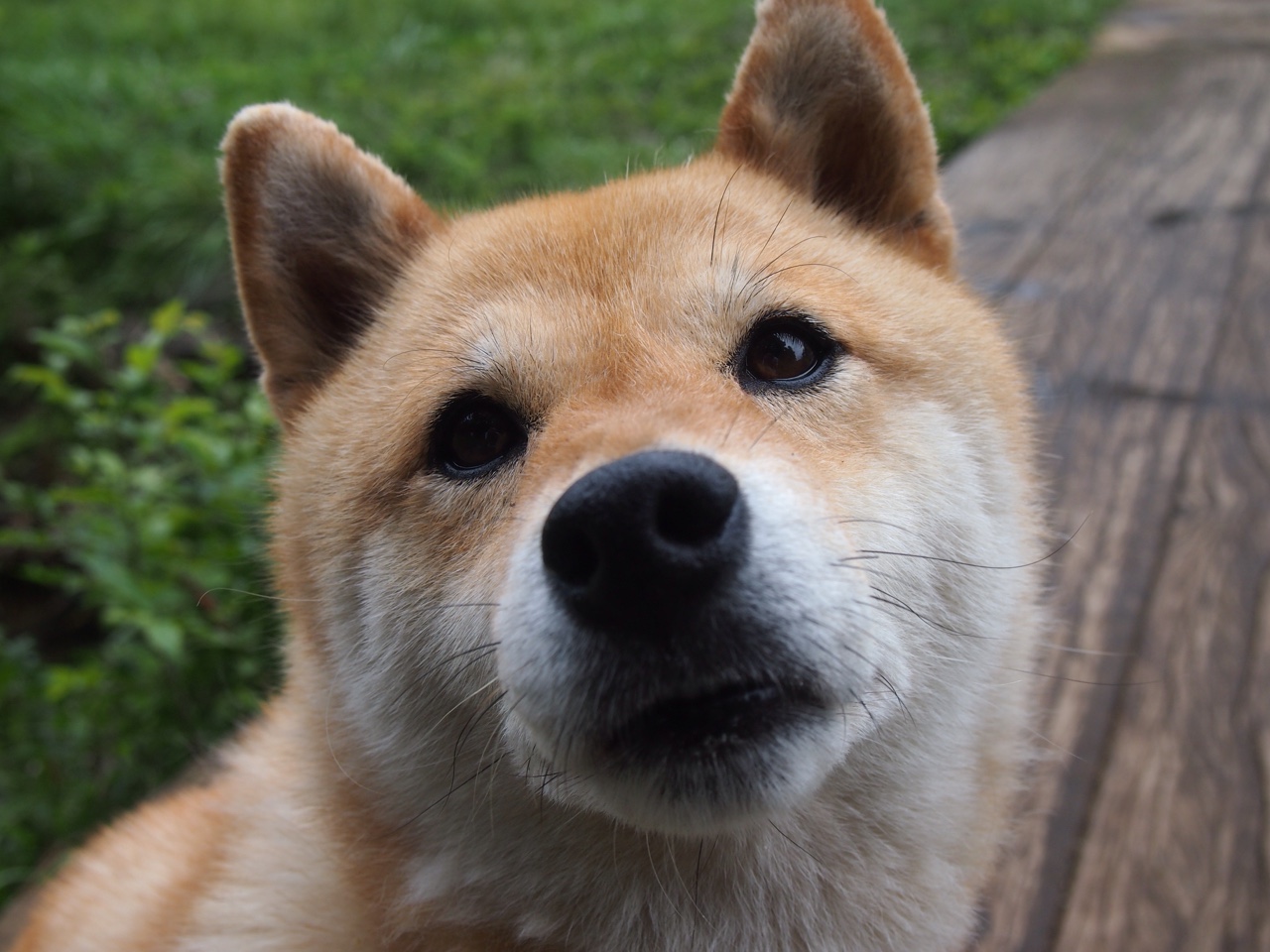 九游用户空间-李娜状态回归巅峰网球公开赛，李娜网球赛视频完整版