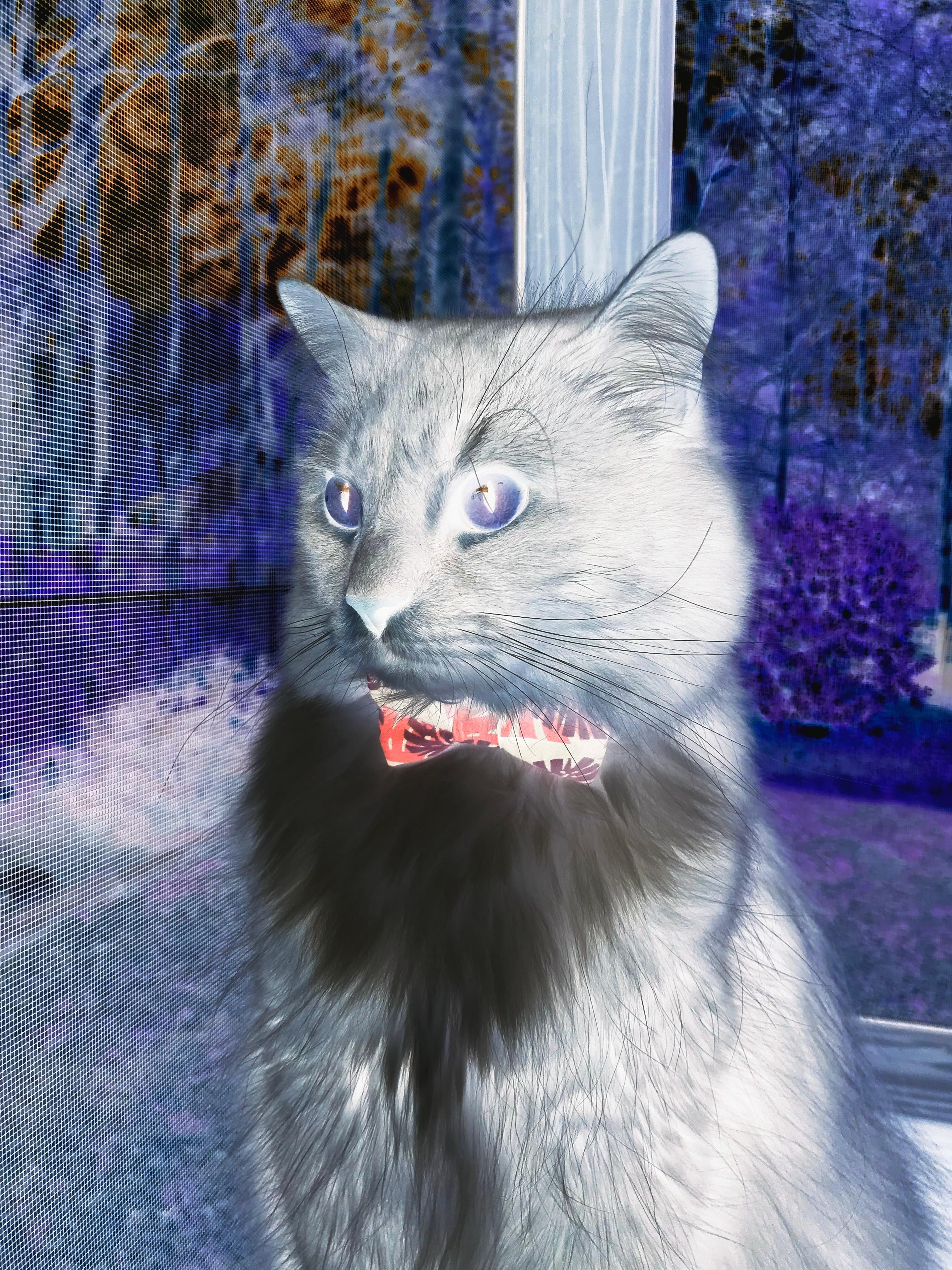 水球终场关键球韩国打入制胜分,水球中国队赢了吗