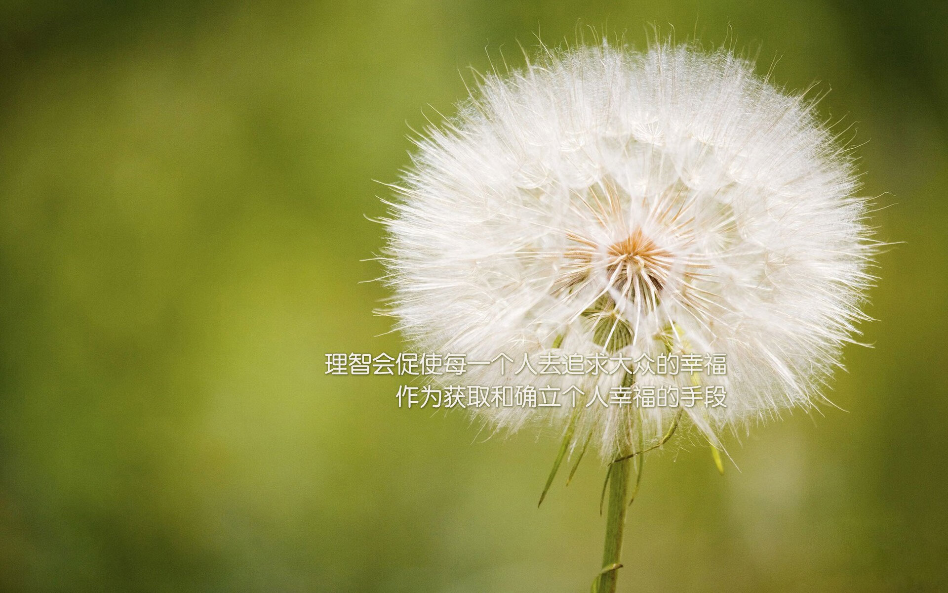 麦肯齐：凭借快速的节奏和精准的长传，他成为全黑队反击战术的核心